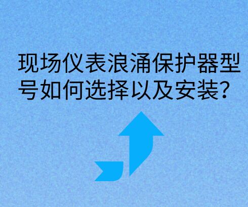 現場儀表浪涌保護器如何選擇型號以及安裝？